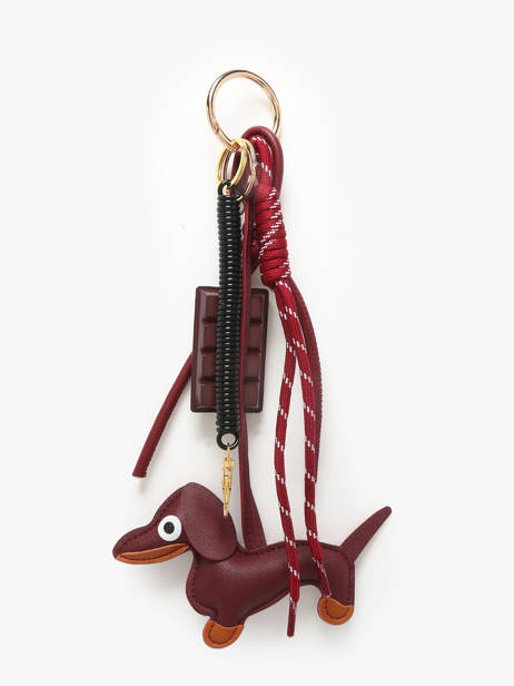 Tashengsel Miniprix Rood access YY223010